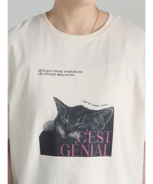 Te chichi(テチチ)の「アニマルフォトプリントTシャツ(Tシャツ/カットソー・レディース・ベージュ/ブラウン/チャコールグレー/オフホワイト・F)」の16枚目の写真