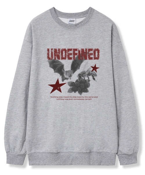 TI.GLAKE(ティーグレイク)の「アンディファインド オーバーサイズ 裏毛 スウェットTシャツ 6カラー(スウェット・レディース・ブラック/ネイビー/ブラウン/グレー/クリーム/チャコール・LARGE/X-LARGE/XX-LARGE)」の3枚目の写真