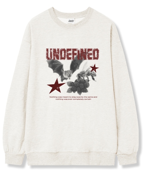 TI.GLAKE(ティーグレイク)の「アンディファインド オーバーサイズ 裏毛 スウェットTシャツ 6カラー(スウェット・レディース・ブラック/ネイビー/ブラウン/グレー/クリーム/チャコール・LARGE/X-LARGE/XX-LARGE)」の6枚目の写真