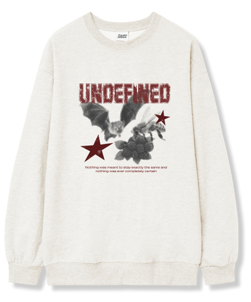TI.GLAKE(ティーグレイク)の「アンディファインド オーバーサイズ 裏毛 スウェットTシャツ 6カラー(スウェット・レディース・ブラック/ネイビー/ブラウン/グレー/クリーム/チャコール・LARGE/X-LARGE/XX-LARGE)」の11枚目の写真