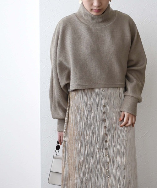 Eimee Law（エイミーロウ）の「ドルマントップス&ベロアプリーツドレス SET UP（ワンピース・レディース・ダークベージュ/チャコールグレー/ブラック・38）」の11枚目の写真