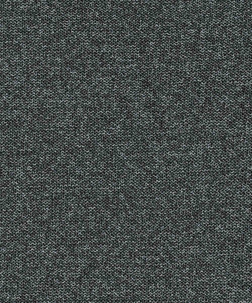 euan.(ユアン)の「euan. シアー オーバーサイズ メッシュ クルーネックニット(ニット/セーター・メンズ・ネイビー/グリーン/ブラック×ホワイト・M/L)」の10枚目の写真