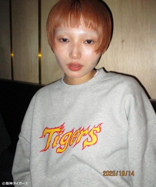 阪神タイガース × NOSTALVIA ノスタルヴィア Tigers Fang / タイガース ファング 裏毛 スウェット プルオーバー