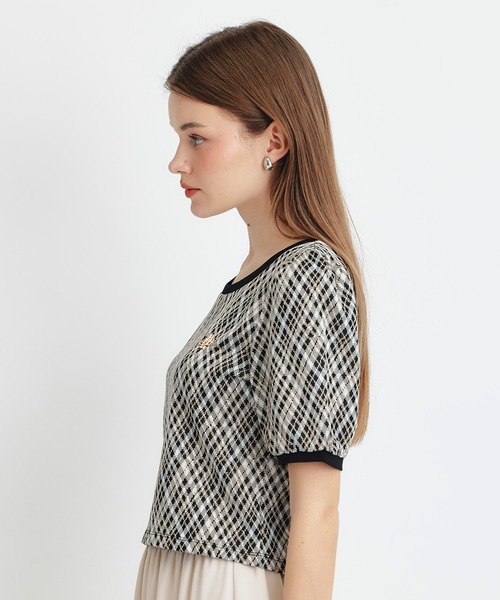 REDYAZEL（レディアゼル）の「チェックジャガードカットロゴプルオーバー（Tシャツ/カットソー・レディース・ネイビー/ブラック系その他/グリーン/ホワイト・FREE）」の19枚目の写真