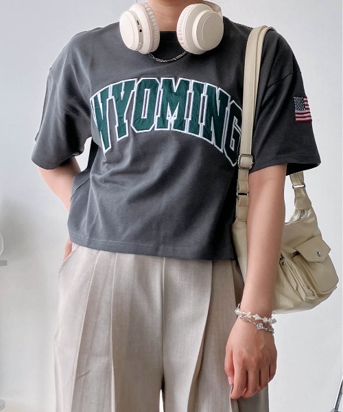 AS KNOW AS plus(アズノゥアズプラス)の「〇クロップド丈 フロントロゴ&袖刺繍 ゆったりシルエット半袖Tシャツ(Tシャツ/カットソー・レディース・チャコールグレー/レッド/ネイビー/オートミール・FREE)」の10枚目の写真