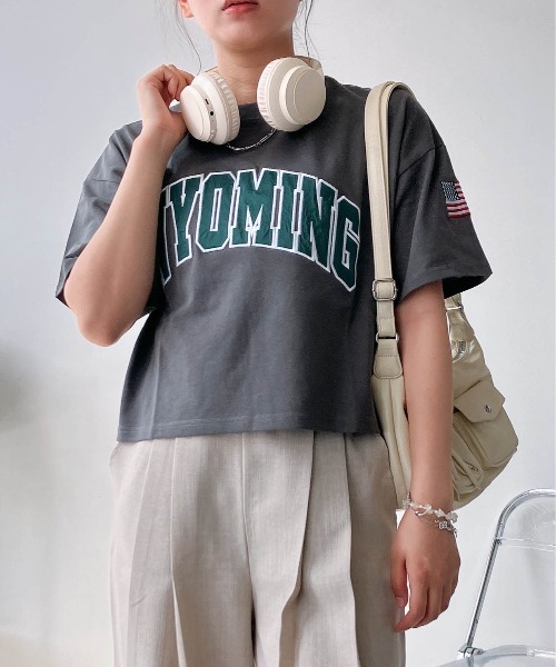 AS KNOW AS plus(アズノゥアズプラス)の「〇クロップド丈 フロントロゴ&袖刺繍 ゆったりシルエット半袖Tシャツ(Tシャツ/カットソー・レディース・チャコールグレー/レッド/ネイビー/オートミール・FREE)」の5枚目の写真