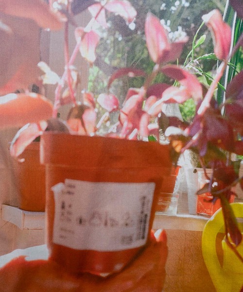 MAISON SPECIAL(メゾンスペシャル)の「《ユニセックスアイテム》【COLLABORATION ITEM】吉祥丸 コラボスカーフ/ハンカチ 【MAISON SPECIAL/メゾンスペシャル】(バンダナ/スカーフ・メンズ・その他1/その他2/その他3/その他4・FREE)」の14枚目の写真