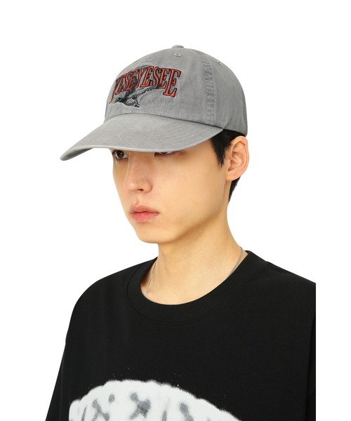 YESEYESEE（イエスアイシー）の「Y.E.S MALLARD CAP（キャップ・メンズ・ベージュ・FREE）」の4枚目の写真