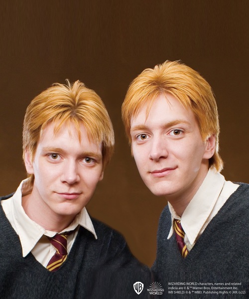 FLAPPER（フラッパー）の「FLAPPER フラッパー:HarryPotter ハリー・ポッター　 フィルムアートスマホリング（スマホグッズ・レディース・B/D/F/A/G/C/E・FREE）」の15枚目の写真