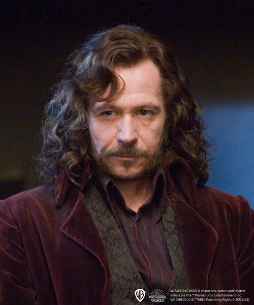 FLAPPER（フラッパー）の「FLAPPER フラッパー:HarryPotter ハリー・ポッター　 フィルムアートスマホリング（スマホグッズ・レディース・B/D/F/A/G/C/E・FREE）」の19枚目の写真