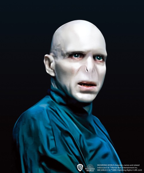 FLAPPER（フラッパー）の「FLAPPER フラッパー:HarryPotter ハリー・ポッター　 フィルムアートスマホリング（スマホグッズ・レディース・B/D/F/A/G/C/E・FREE）」の13枚目の写真