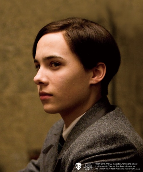 FLAPPER（フラッパー）の「FLAPPER フラッパー:HarryPotter ハリー・ポッター　 フィルムアートスマホリング（スマホグッズ・レディース・B/D/F/A/G/C/E・FREE）」の10枚目の写真