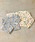 Ocean&Ground�i�I�[�V����&�O���E���h�j�́uBOY'SƯķ���߼ެρi���[���E�F�A/�p�W���}�j�v�b�I�t�z���C�g