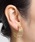 The RuleiU[j́uThe Rule U[FLattice earring@4dt[vCOiCOjvbO[