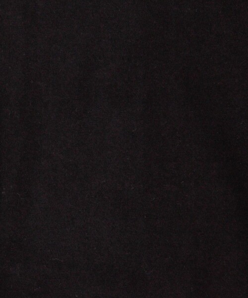 JAMES PERSE(ジェームスパース)の「グレイトフル デッド ハーフスリーブカットソー WLJ3114GRF(Tシャツ/カットソー・レディース・ブラック/ホワイト/オレンジ・2/0/1)」の13枚目の写真