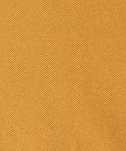 JAMES PERSE(ジェームスパース)の「グレイトフル デッド ハーフスリーブカットソー WLJ3114GRF(Tシャツ/カットソー・レディース・ブラック/ホワイト/オレンジ・2/0/1)」の15枚目の写真
