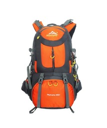 リュック 登山 40l 60l