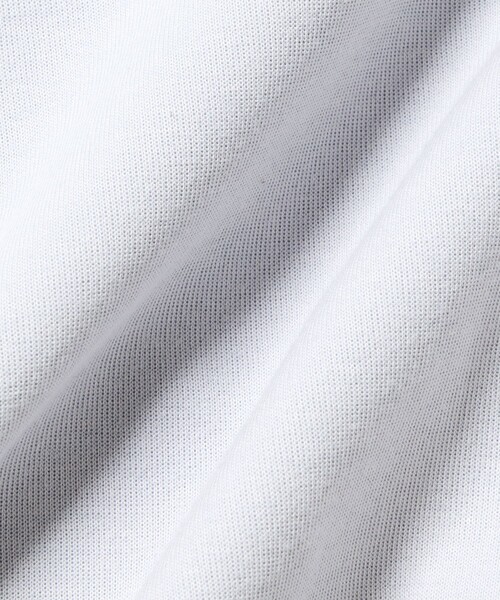 LACOSTE（ラコステ）の「ダブルフェイスジャージジップフーディー（パーカー・レディース・ライトグレー/ネイビー・40/38/34/36）」の3枚目の写真