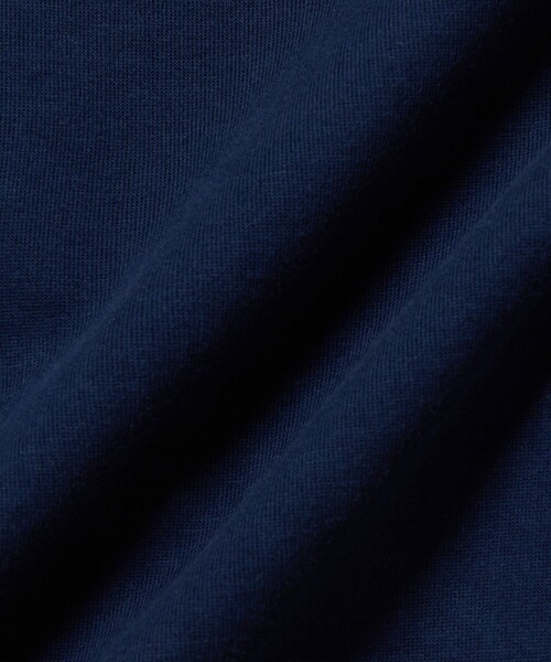 LACOSTE（ラコステ）の「ダブルフェイスジャージジップフーディー（パーカー・レディース・ライトグレー/ネイビー・40/38/34/36）」の9枚目の写真