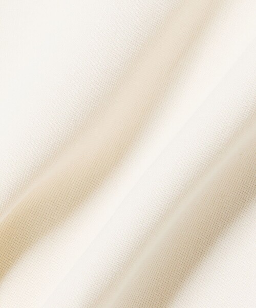 LACOSTE（ラコステ）の「ダブルフェイスジャージジップフーディー（パーカー・レディース・ライトグレー/ネイビー・40/38/34/36）」の14枚目の写真