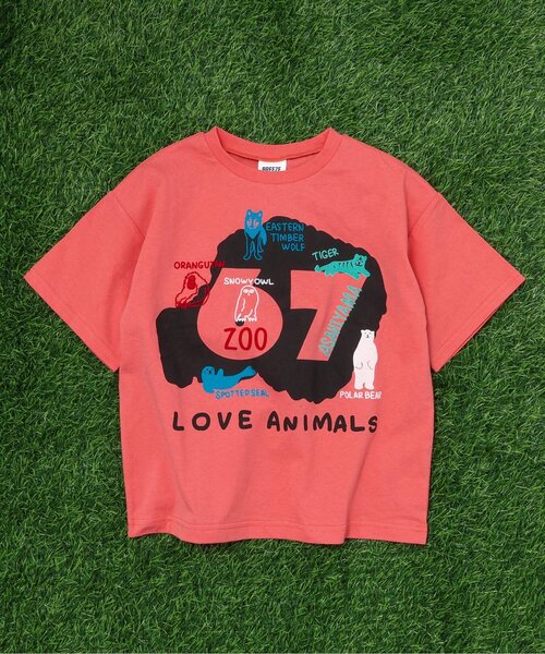 BREEZE（ブリーズ）の「【リンク】旭山動物園応援商品 バリエーションTシャツ（Tシャツ/カットソー・キッズ・チャコール/オレンジ/レインボー/アイボリー/カーキ/ブルー・80/90/100/110/120/130/140）」の6枚目の写真