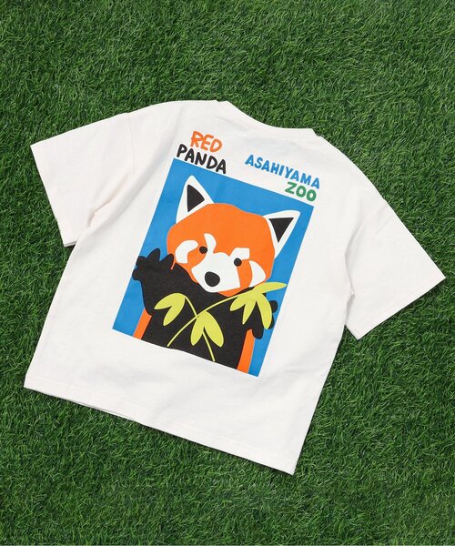 BREEZE（ブリーズ）の「【リンク】旭山動物園応援商品 バリエーションTシャツ（Tシャツ/カットソー・キッズ・チャコール/オレンジ/レインボー/アイボリー/カーキ/ブルー・80/90/100/110/120/130/140）」の2枚目の写真