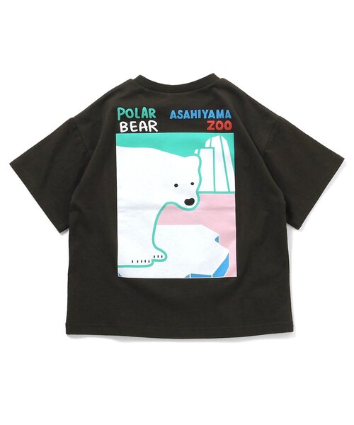 BREEZE（ブリーズ）の「【リンク】旭山動物園応援商品 バリエーションTシャツ（Tシャツ/カットソー・キッズ・チャコール/オレンジ/レインボー/アイボリー/カーキ/ブルー・80/90/100/110/120/130/140）」の16枚目の写真