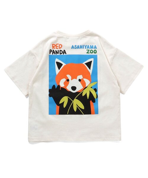 BREEZE（ブリーズ）の「【リンク】旭山動物園応援商品 バリエーションTシャツ（Tシャツ/カットソー・キッズ・チャコール/オレンジ/レインボー/アイボリー/カーキ/ブルー・80/90/100/110/120/130/140）」の18枚目の写真