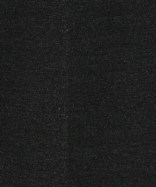 HAKUJI（ハクジ）の「HAKUJI Shiny rib HN ハイネックプルオーバー（Tシャツ/カットソー・レディース・ダークブラウン/ブラック系その他・FREE）」の12枚目の写真