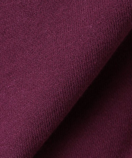 Spick & Span（スピックアンドスパン）の「ボリュームスリーブウラケプルオーバー◆（スウェット・レディース・ブラック/ボルドー・FREE）」の4枚目の写真