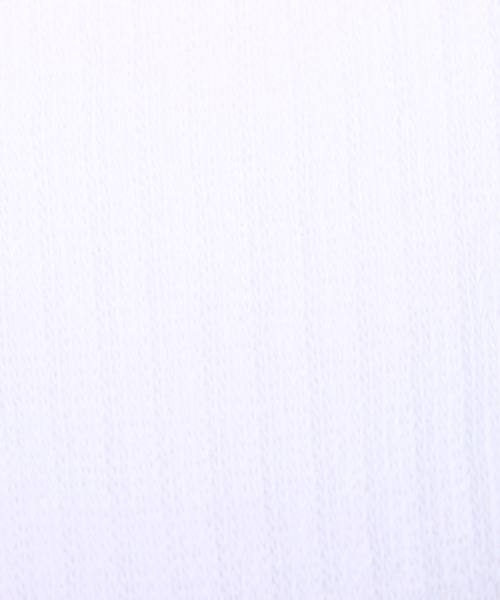 POLO RALPH LAUREN(ポロ ラルフ ローレン)の「POLO RALPH LAUREN 6PACKS CREW SOCKS(ソックス/靴下・メンズ・ホワイト/ブラック・FREE)」の16枚目の写真