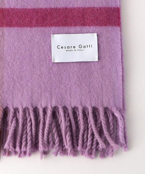 ＜Cesare Gatti＞CASHMERE STOLE/ストール