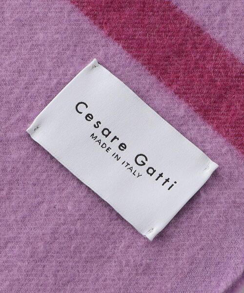 ＜Cesare Gatti＞CASHMERE STOLE/ストール