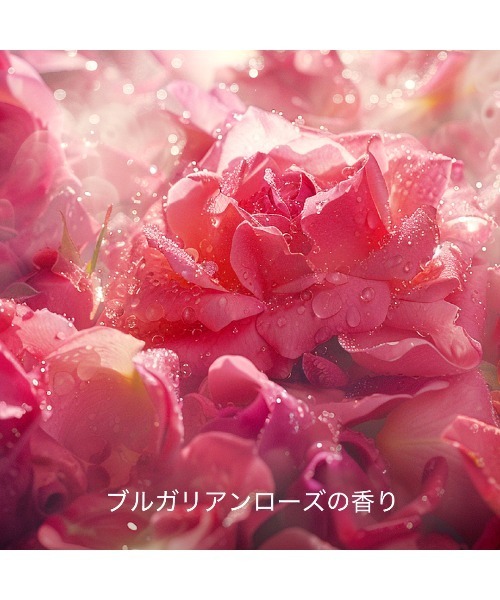 HACCI(ハッチ)スキップセラム（美容液/オイル/クリーム）｜HACCI（ハッチ）