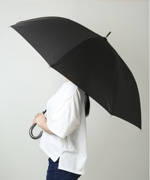 ̑ZNg(\m^ZNg)HAU am P70cm(P)