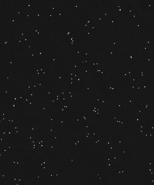 LTR DEPTH(レイターデプス)の「LTR DEPTH/ラメグラフィックT(Tシャツ/カットソー・メンズ・ブラウン/ブラック・LARGE/MEDIUM)」の4枚目の写真