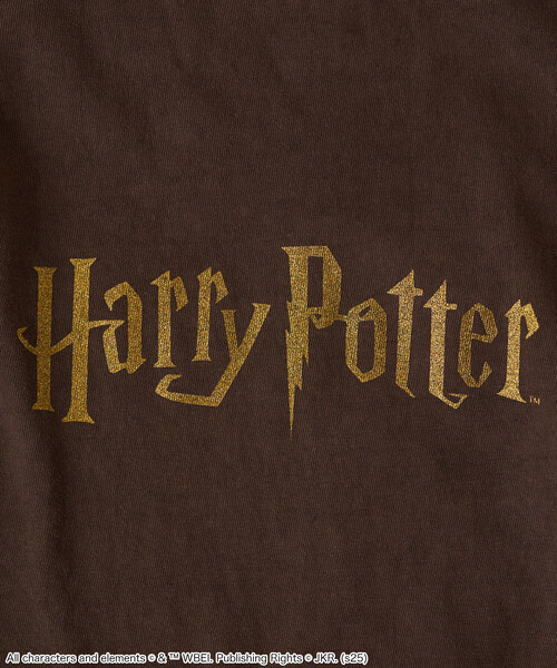 FREAK'S STORE(フリークスストア)の「『Harry Potter』 ロゴロンT(Tシャツ/カットソー・レディース・ブラウン/チャコールグレー・X-LARGE/フリ-)」の7枚目の写真