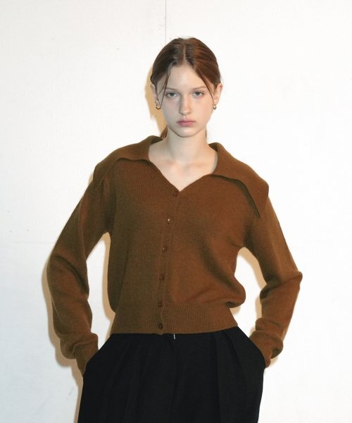 Calla V-neck Knit Cardigan (Brown)