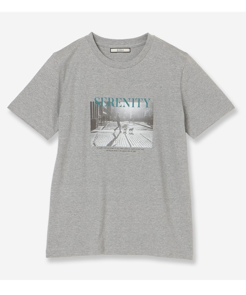 R-ISM(リズム)の「【R-ISM人気アイテム・洗える】フォトプリントTシャツ(DOG)(Tシャツ/カットソー・レディース・ライトベージュ/ライトグレー/オフホワイト・4)」の1枚目の写真