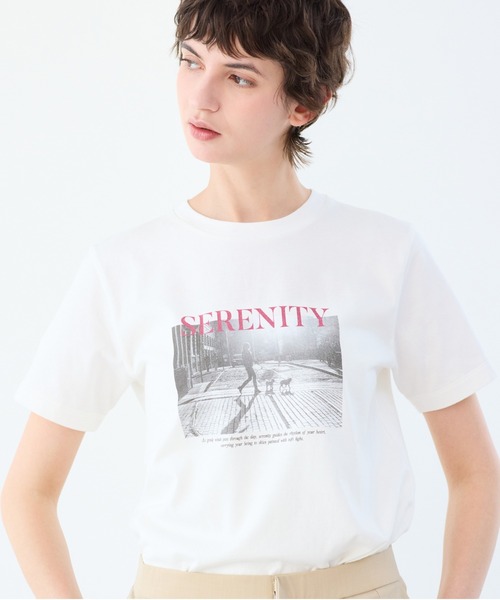 R-ISM(リズム)の「【R-ISM人気アイテム・洗える】フォトプリントTシャツ(DOG)(Tシャツ/カットソー・レディース・ライトベージュ/ライトグレー/オフホワイト・4)」の5枚目の写真