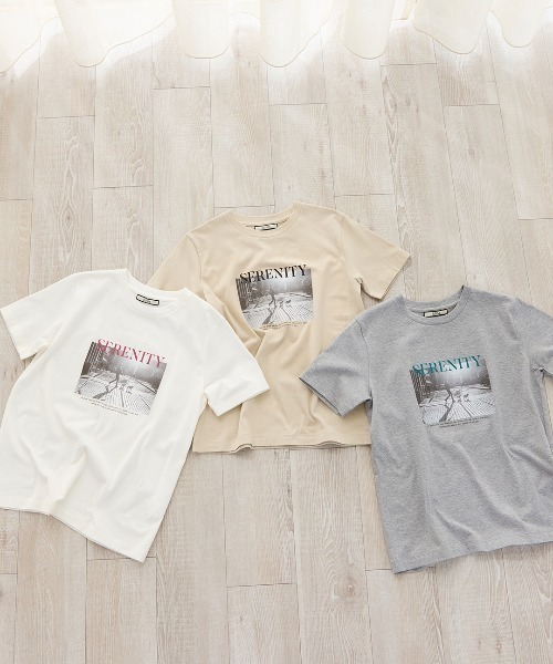 R-ISM(リズム)の「【R-ISM人気アイテム・洗える】フォトプリントTシャツ(DOG)(Tシャツ/カットソー・レディース・ライトベージュ/ライトグレー/オフホワイト・4)」の12枚目の写真