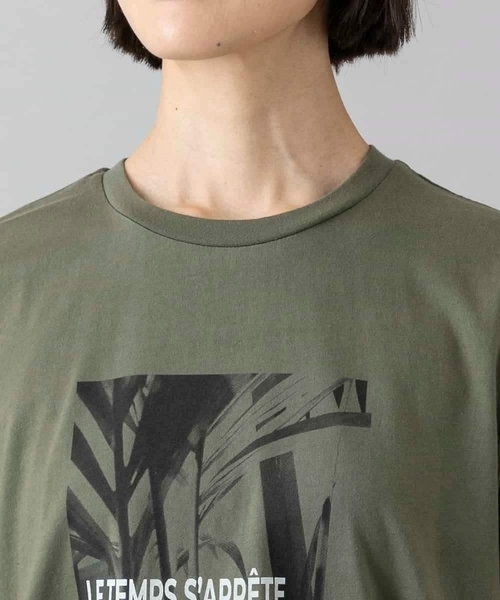 MICHEL KLEIN（ミッシェル・クラン）の「[WEB限定カラー]フォトTシャツ（Tシャツ/カットソー・レディース・ホワイト/グレー/チャコールグレー/カーキ・40/38）」の12枚目の写真