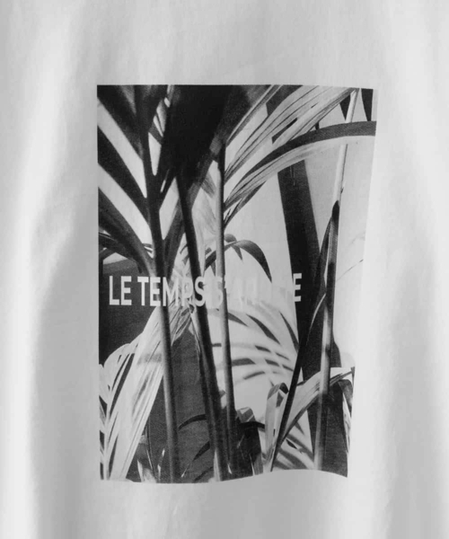 MICHEL KLEIN（ミッシェル・クラン）の「[WEB限定カラー]フォトTシャツ（Tシャツ/カットソー・レディース・ホワイト/グレー/チャコールグレー/カーキ・40/38）」の7枚目の写真