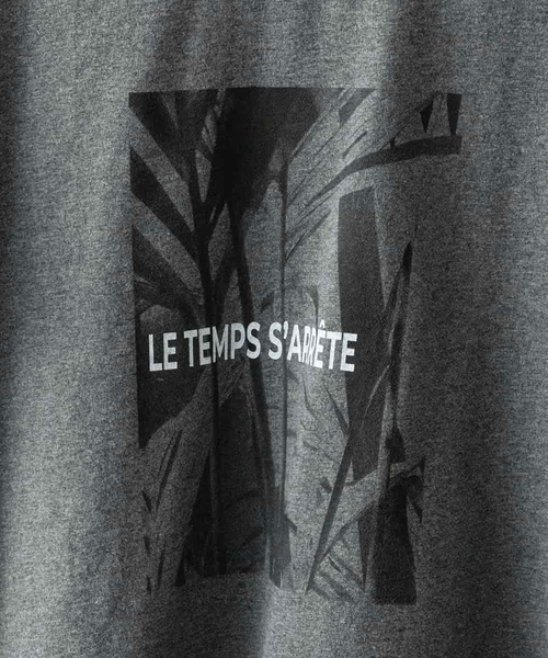 MICHEL KLEIN（ミッシェル・クラン）の「[WEB限定カラー]フォトTシャツ（Tシャツ/カットソー・レディース・ホワイト/グレー/チャコールグレー/カーキ・40/38）」の5枚目の写真