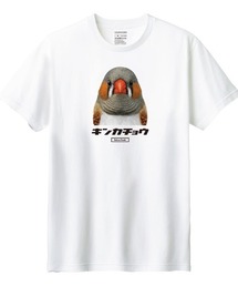 Moftique(モフティック) 半袖Tシャツ キンカチョウ 鳥 ペット アニマル プリント トップス メンズ ユニセックス
