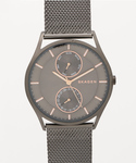 SKAGEN | HOLST　SKW6180(Analog watches)