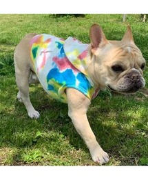 JACKSON MATISSE（ジャクソンマティス）の「【JACKSON MATISSE/ジャクソンマティス】TIE DYE （タイダイ）TERRY CLOTH HOODIE　ペットウエア（ペットウェア・キッズ）」