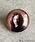 FLAPPERitbp[j́uFLAPPER tbp[:HarryPotter n[E|b^[ tBA[gKXsYiobWjvbN