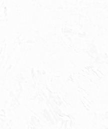 WEGO/ダブルカラビナ