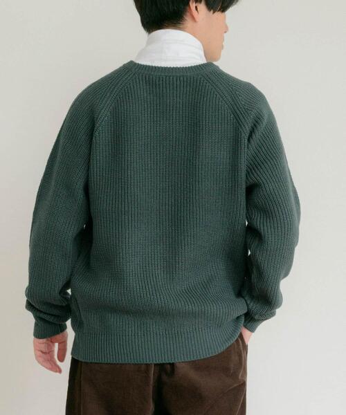 ITEMS URBANRESEARCH（アイテムズ アーバンリサーチ）の「マシンウォッシャブル 片畦クルーネックニット（ニット/セーター・メンズ・キャメル/ブラック/グリーン/ブルー/アイボリー・LARGE/MEDIUM）」の12枚目の写真